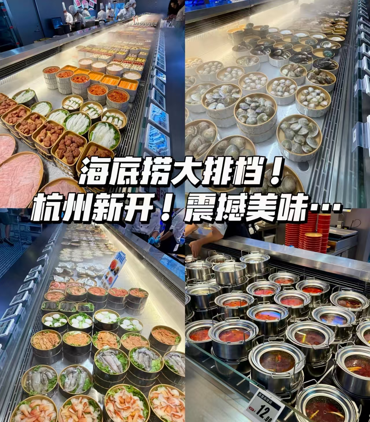 微信图片_20260920170113_20_52.jpg
